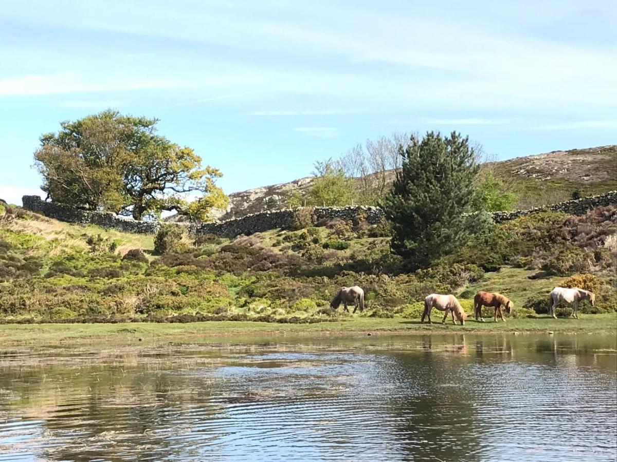 River Cottage Conwy Exteriér fotografie